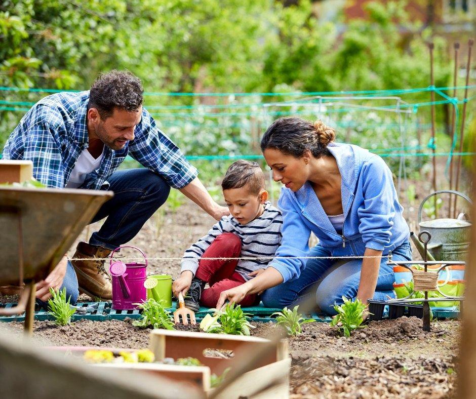 a family are gardening