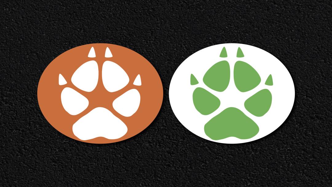 Fox paw prints