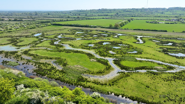 drone shot of wetland