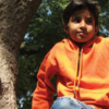 Young boy having climbed a tree is sitting on a branch