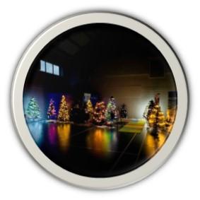 Lots of Christmas trees together in a hall beautifully decorated and welcoming