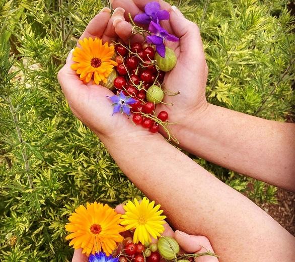 hands holding berries and flowers