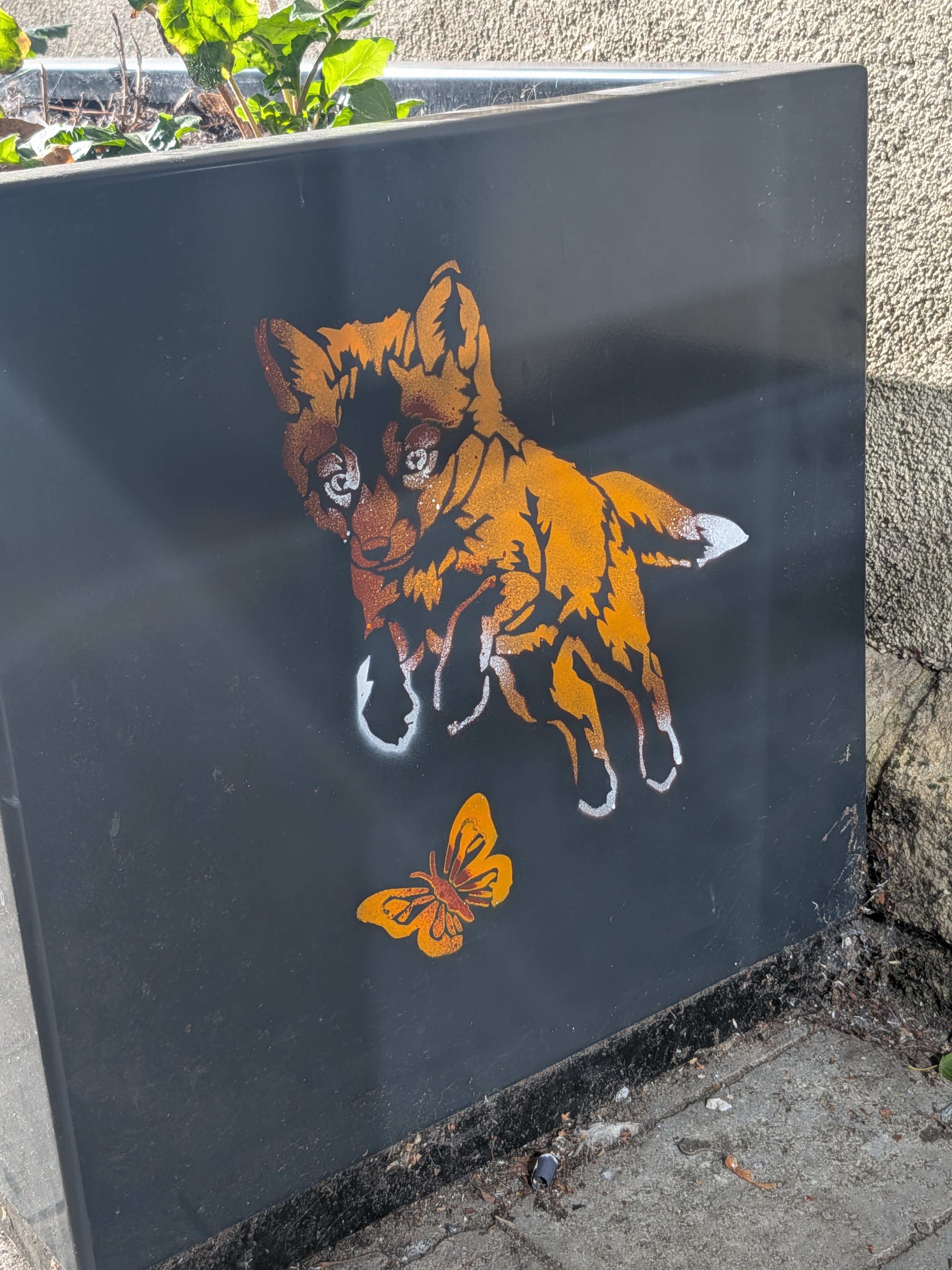 Bicester trail