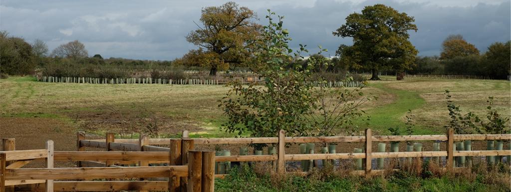 Graven Hill view over fields