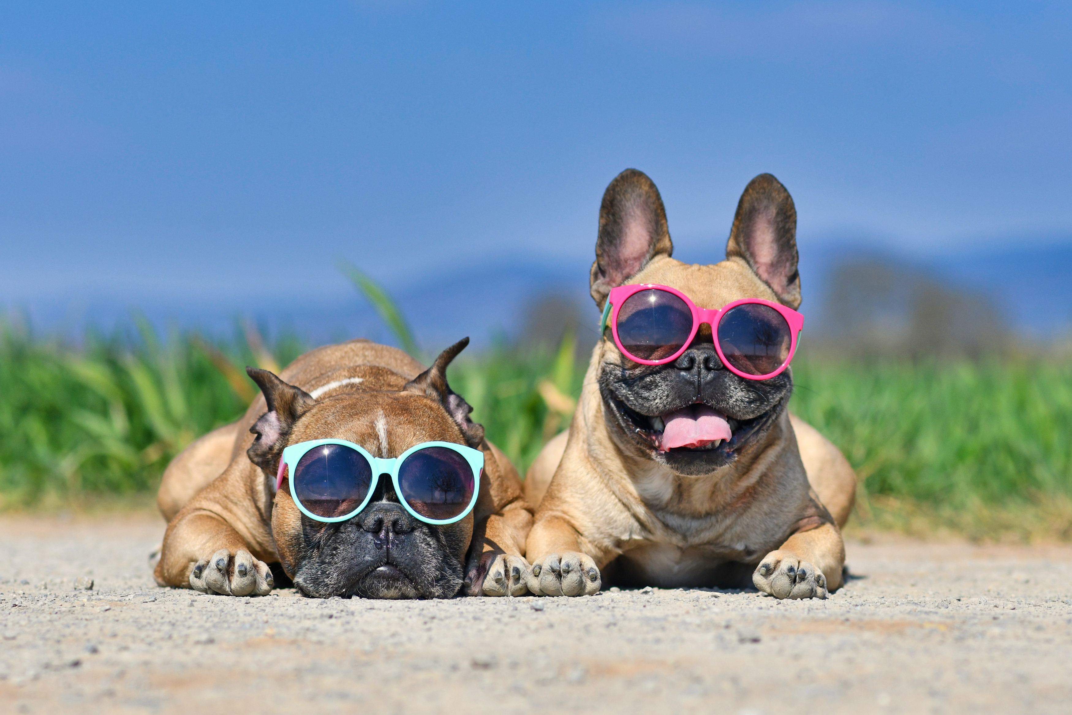 Stay cool