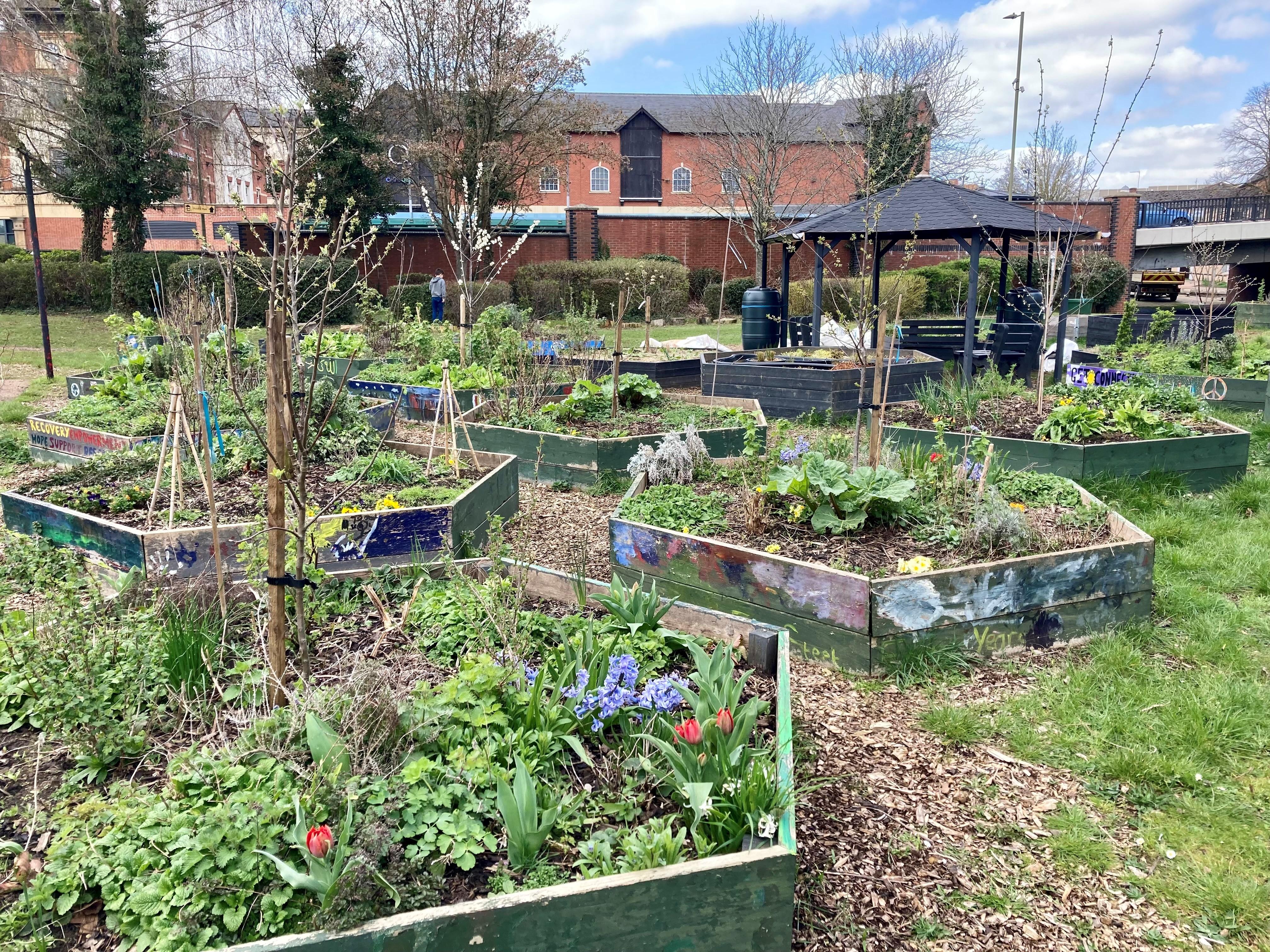 Hexagonal planters at Bridge Street Community Garden in Banbury