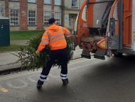this operative is throwing a Christmas tree into the back of the garden waste lorry